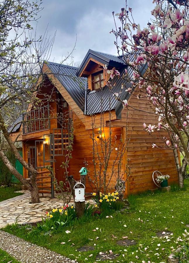 Blue Village 8 Kolašin المظهر الخارجي الصورة