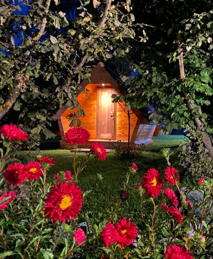 Blue Village 8 Kolašin المظهر الخارجي الصورة